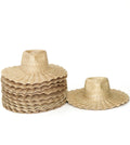 AUGUSTINE Nalu - Wide brim straw hat